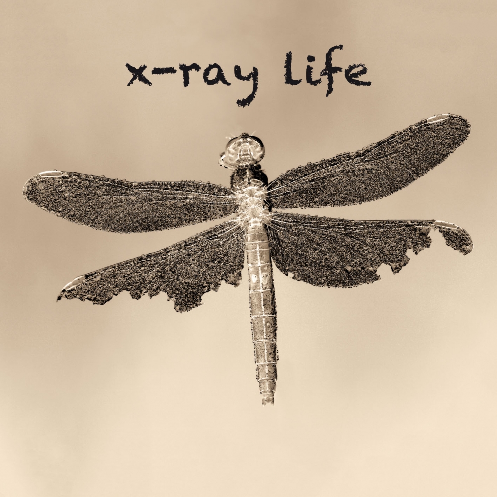 X-Ray Life - S/T